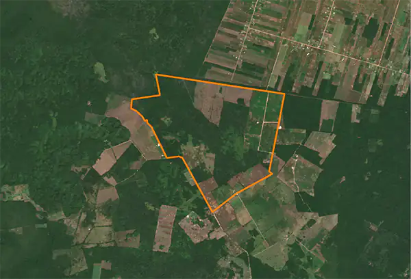 Bacalar after deforestation