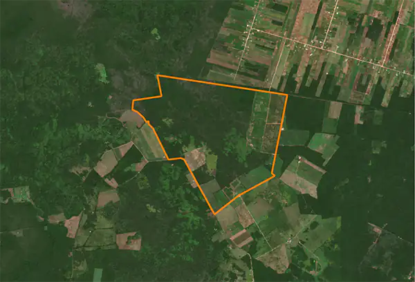 Bacalar before deforestation