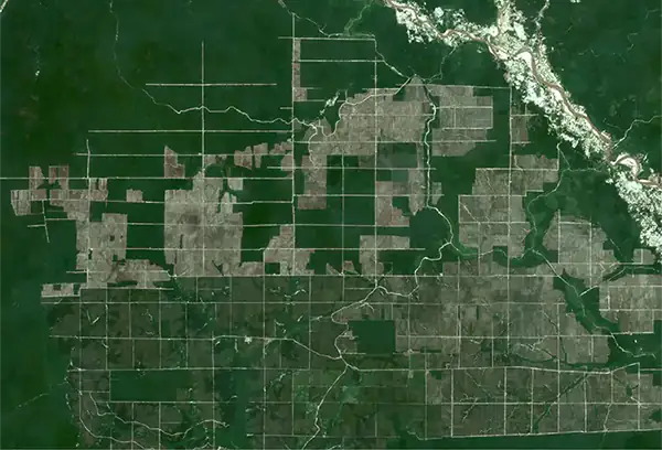 Kalimantan after deforestation